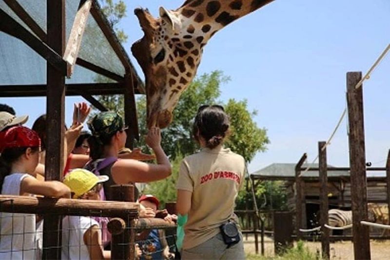 Zoo d’Abruzzo